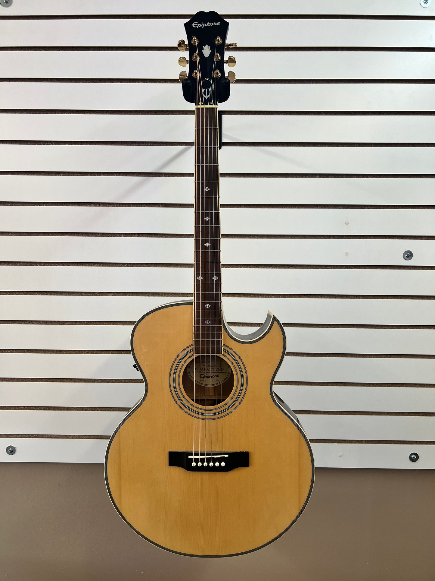 Epiphone PR-5E/N Acoustic Guitar