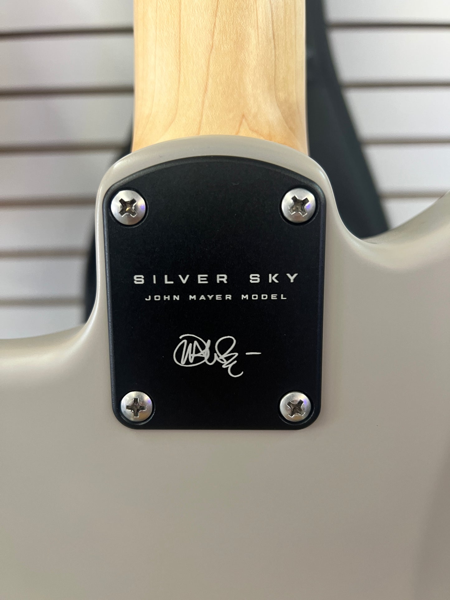 2022 PRS Silver Sky