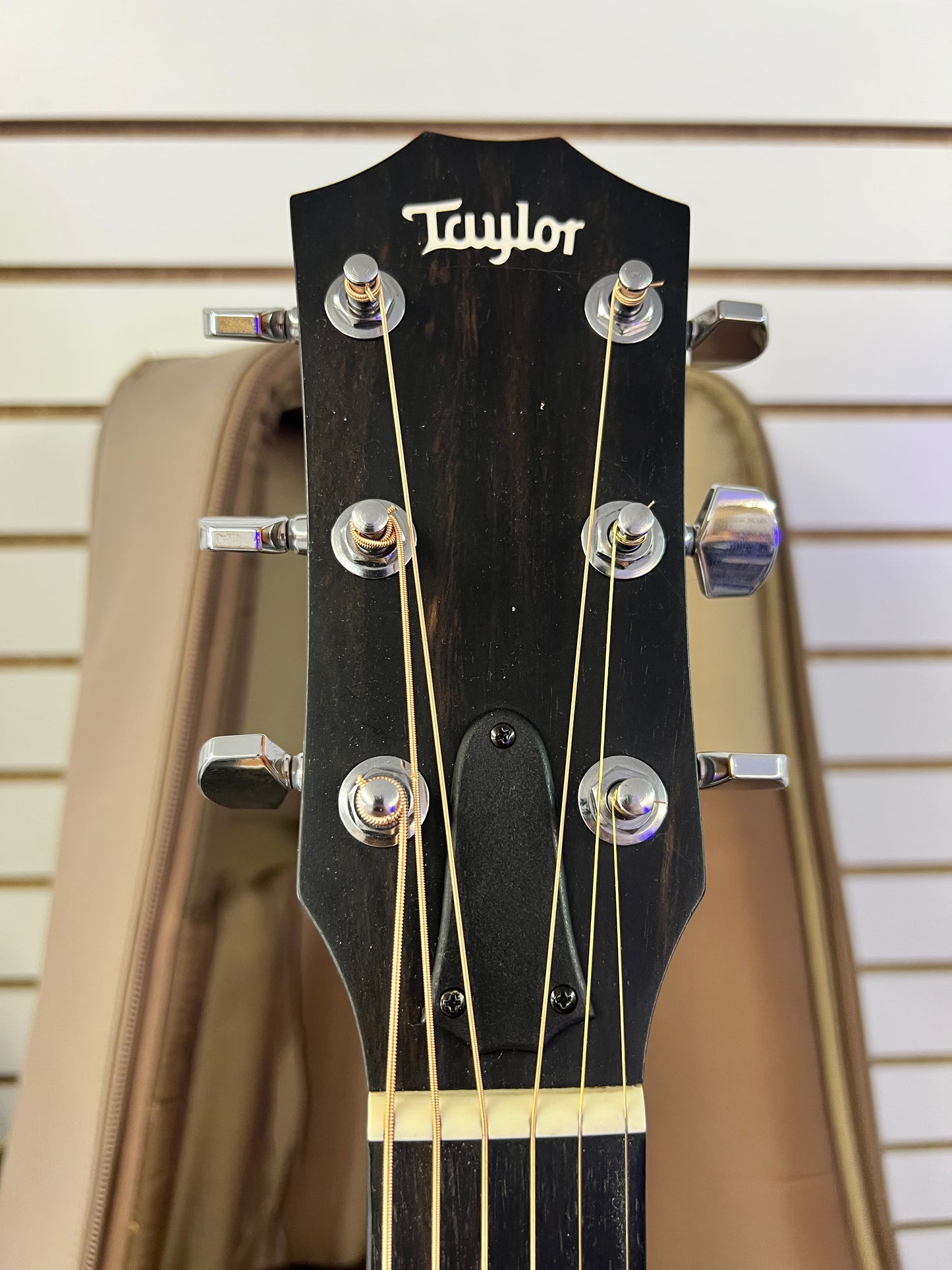 2021 Taylor 214-k CE