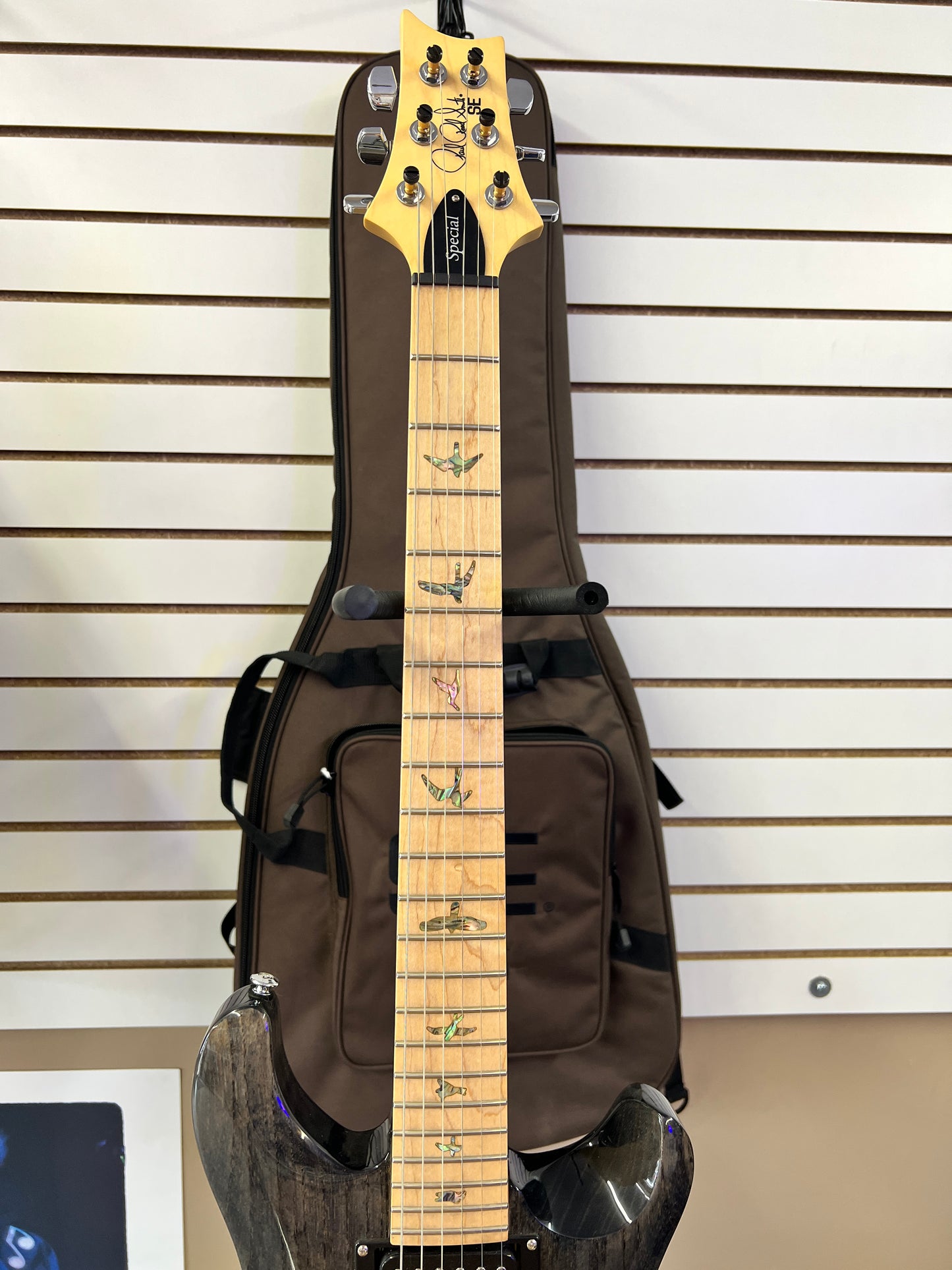 2023 PRS SE Swamp Ash Special