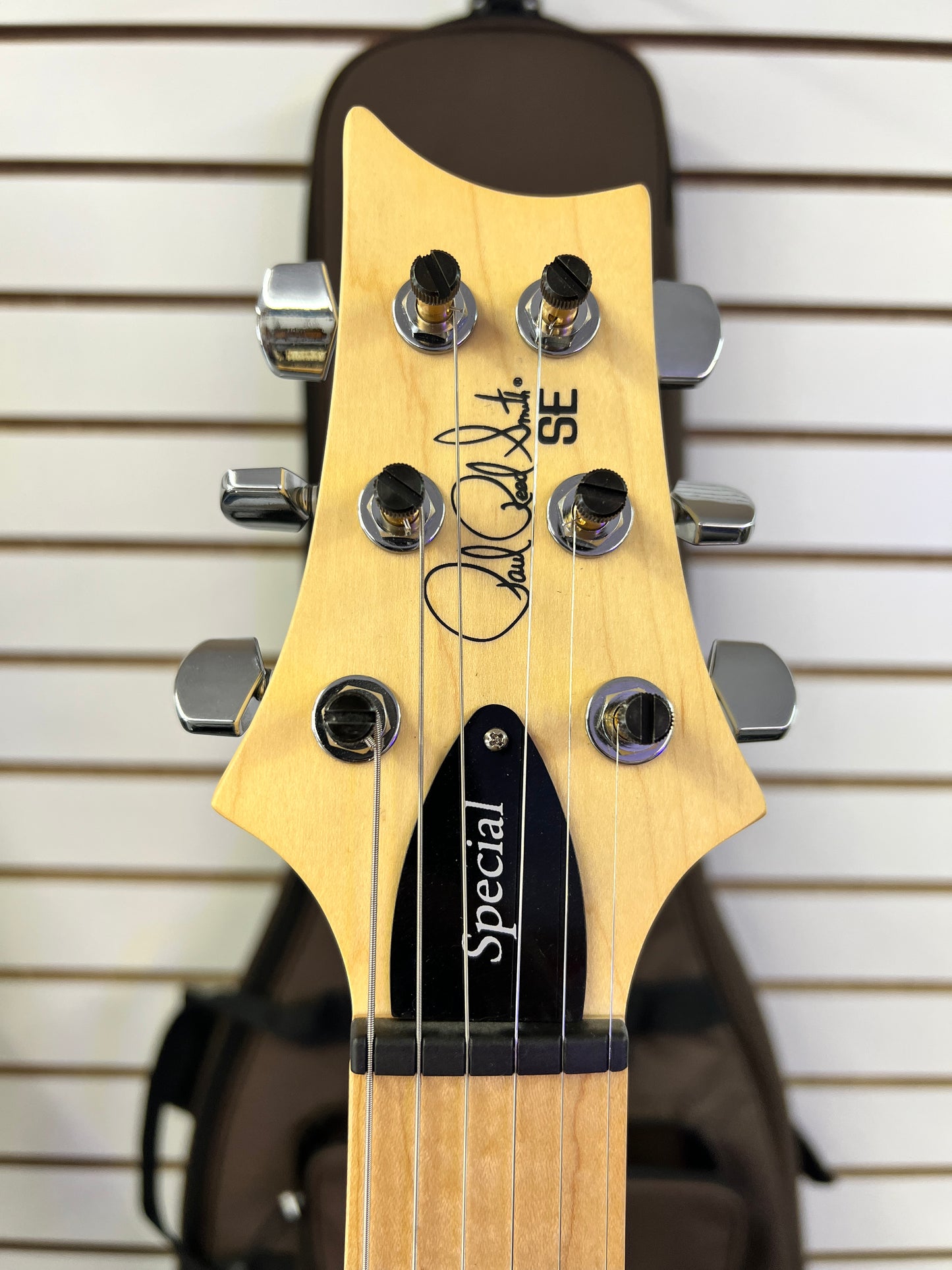 2023 PRS SE Swamp Ash Special