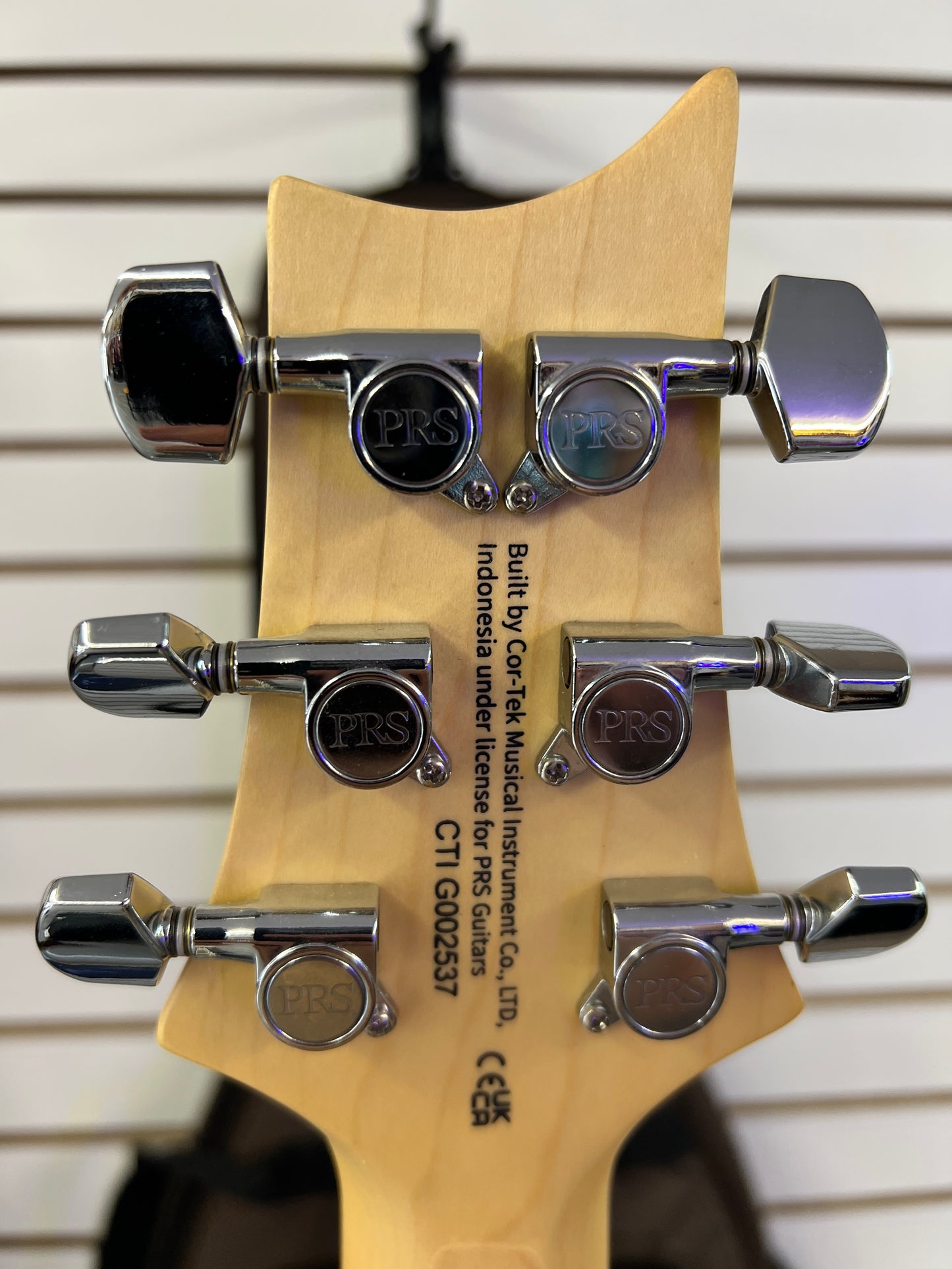 2023 PRS SE Swamp Ash Special