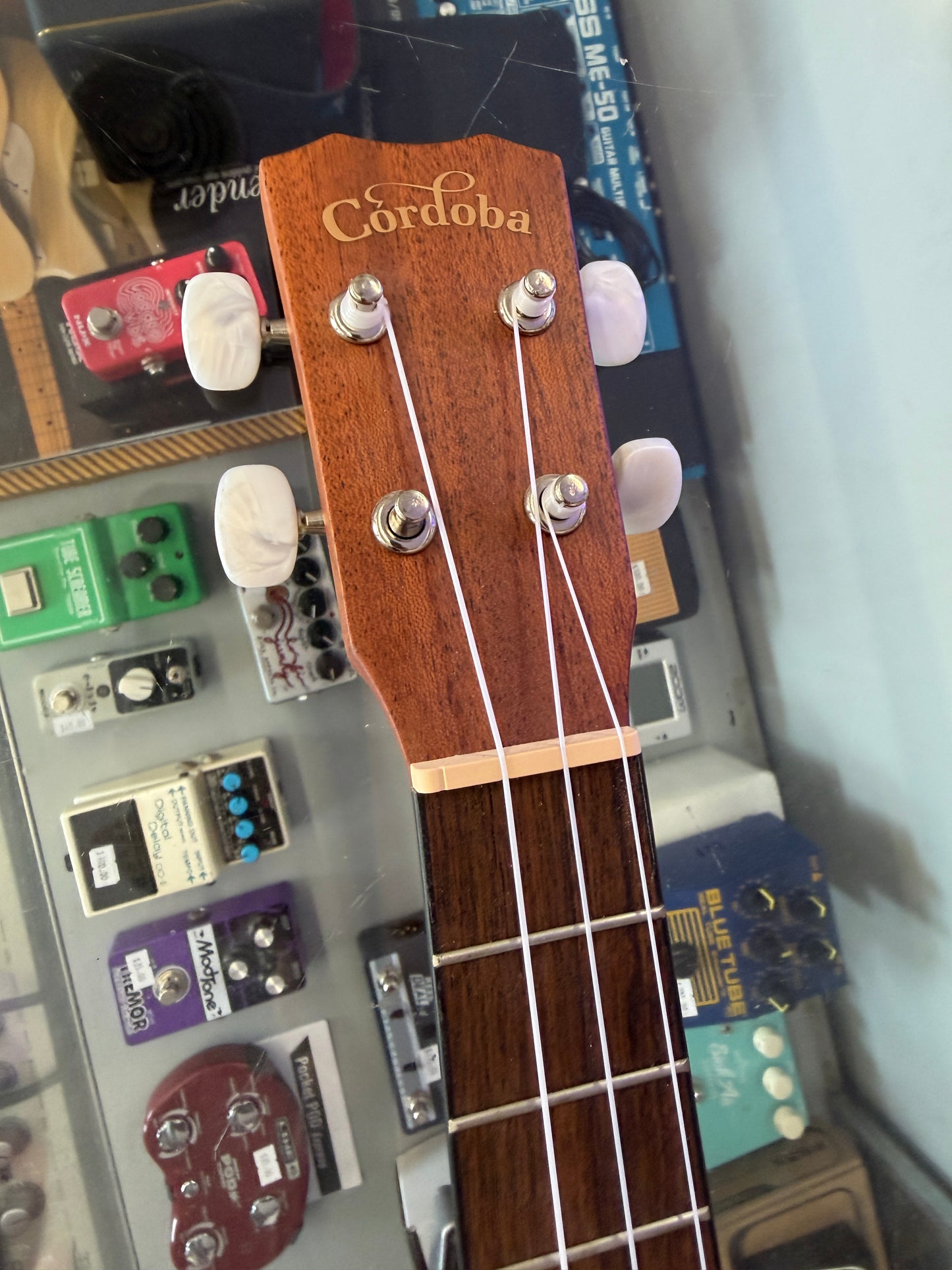 Córdoba 20TM Tenor Ukulele