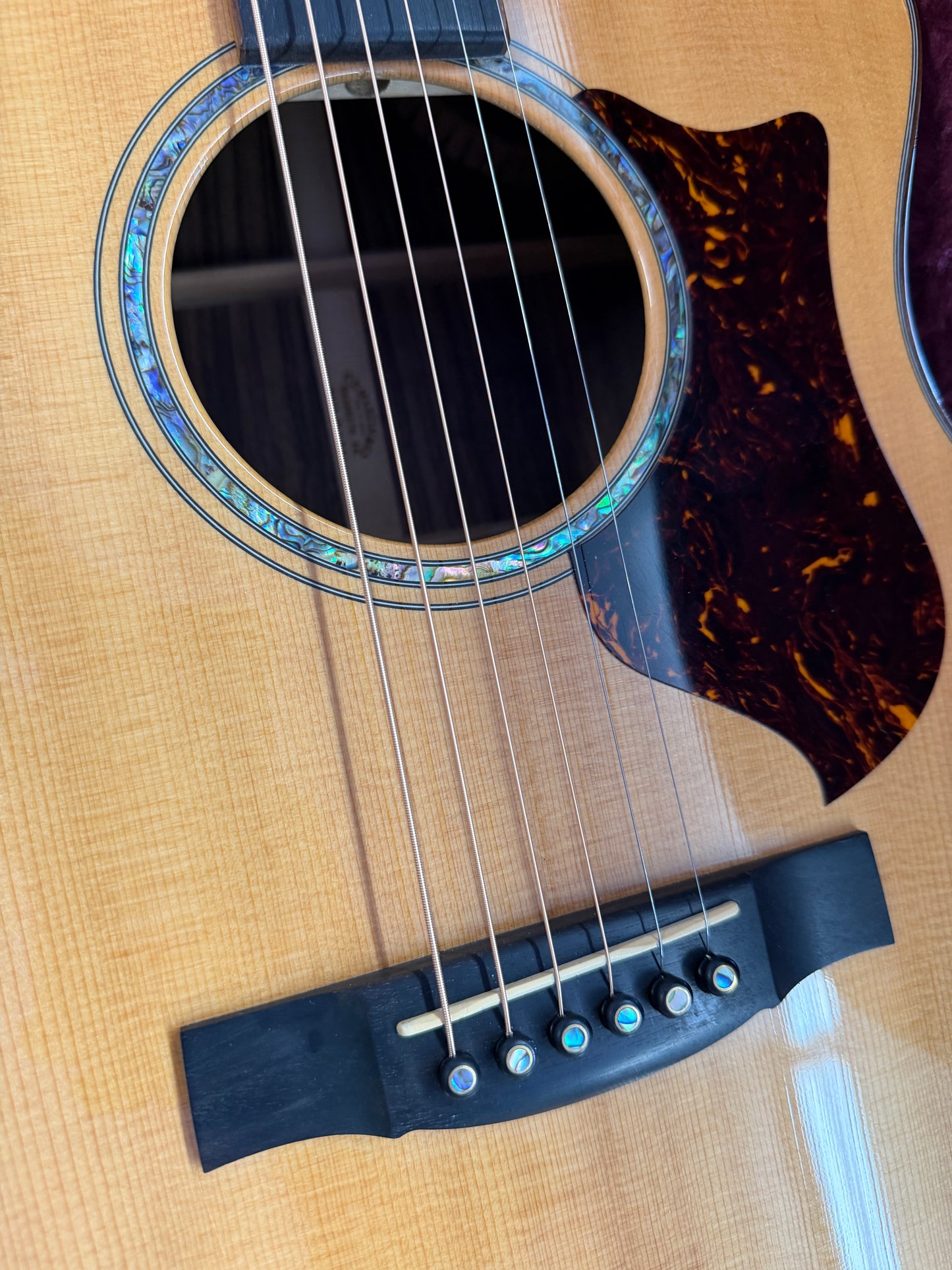 2009 Martin GPCPA1 Plus