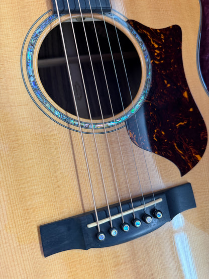 2009 Martin GPCPA1 Plus