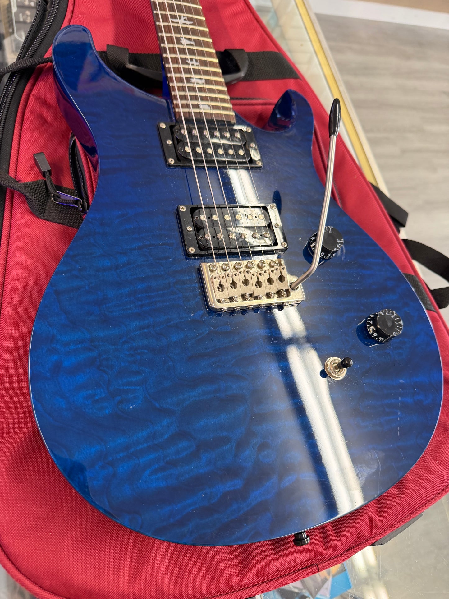 2010 PRS SE Custom 24