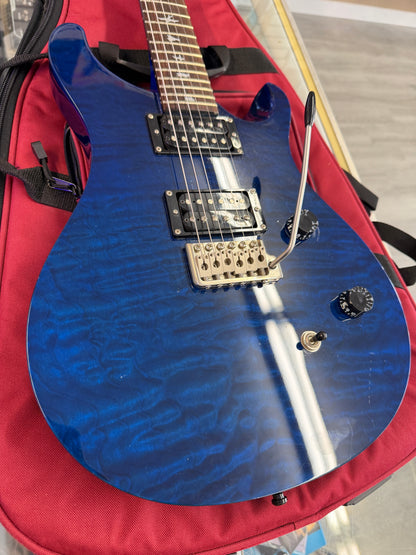 2010 PRS SE Custom 24