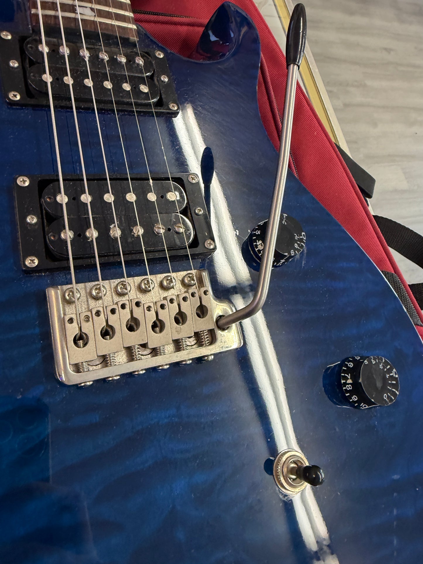 2010 PRS SE Custom 24