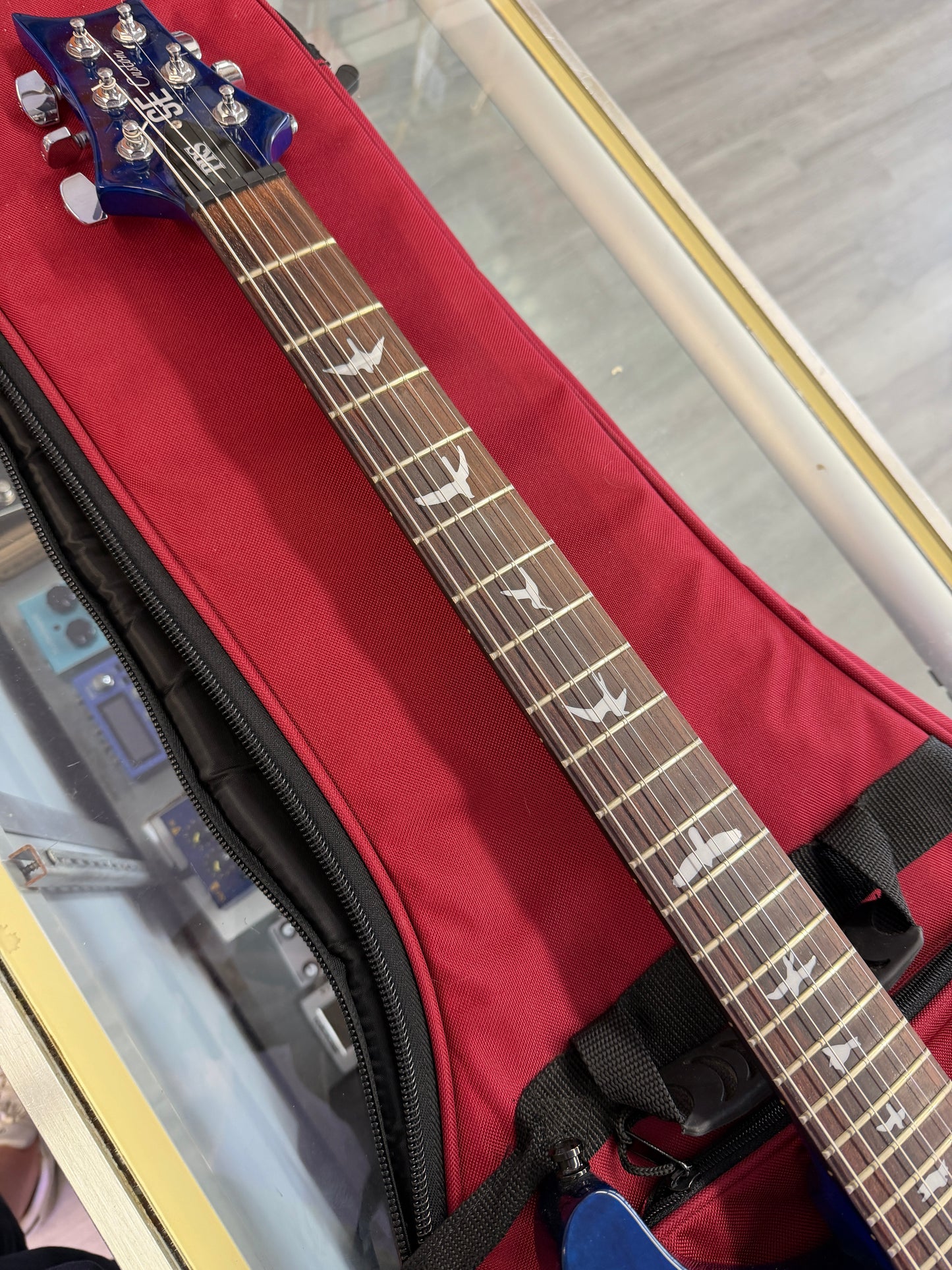 2010 PRS SE Custom 24