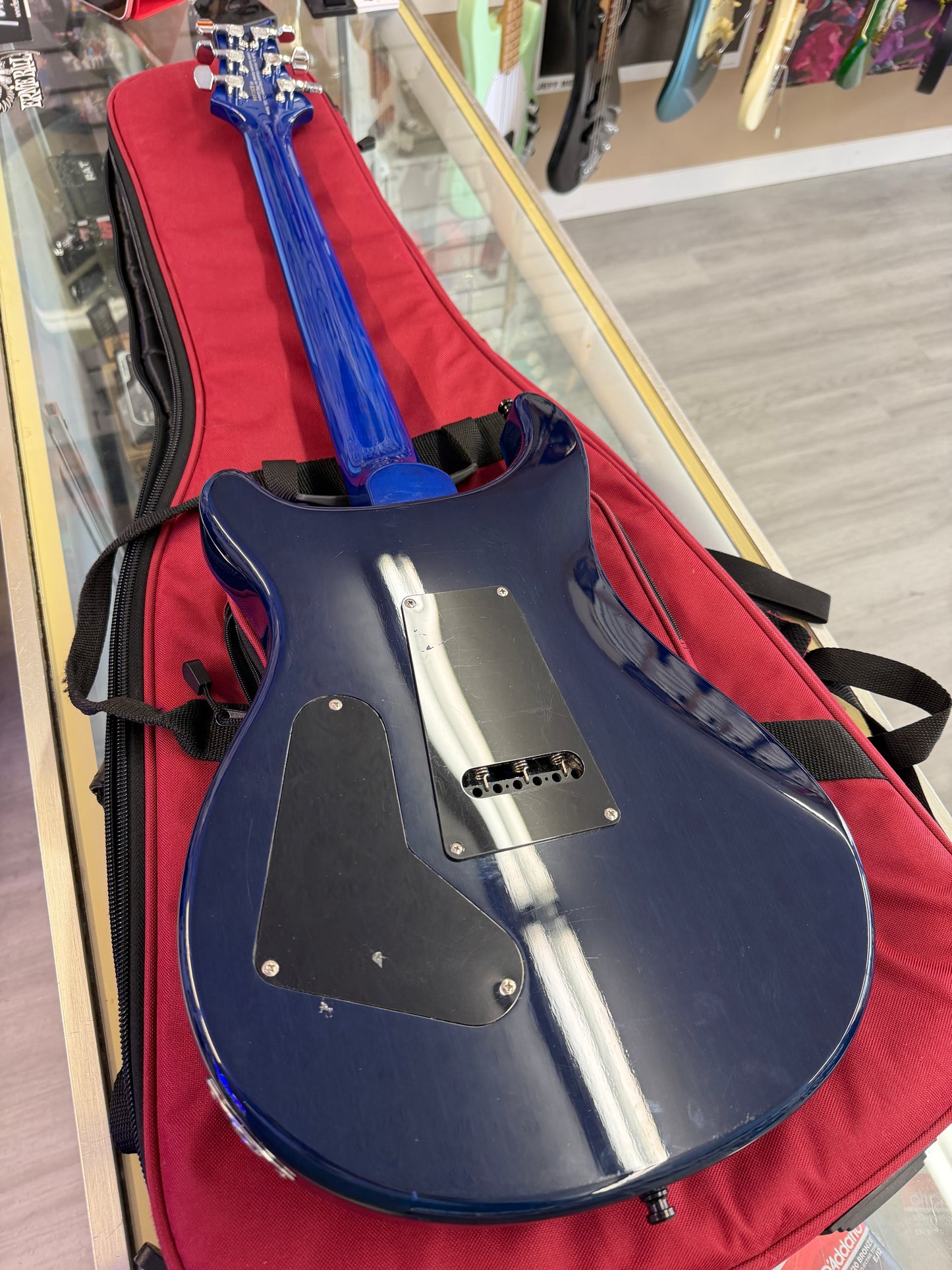 2010 PRS SE Custom 24