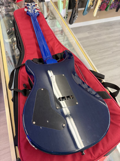 2010 PRS SE Custom 24