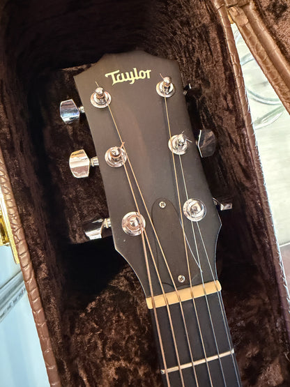 2010 Taylor 416ce-LTD Spring Limited