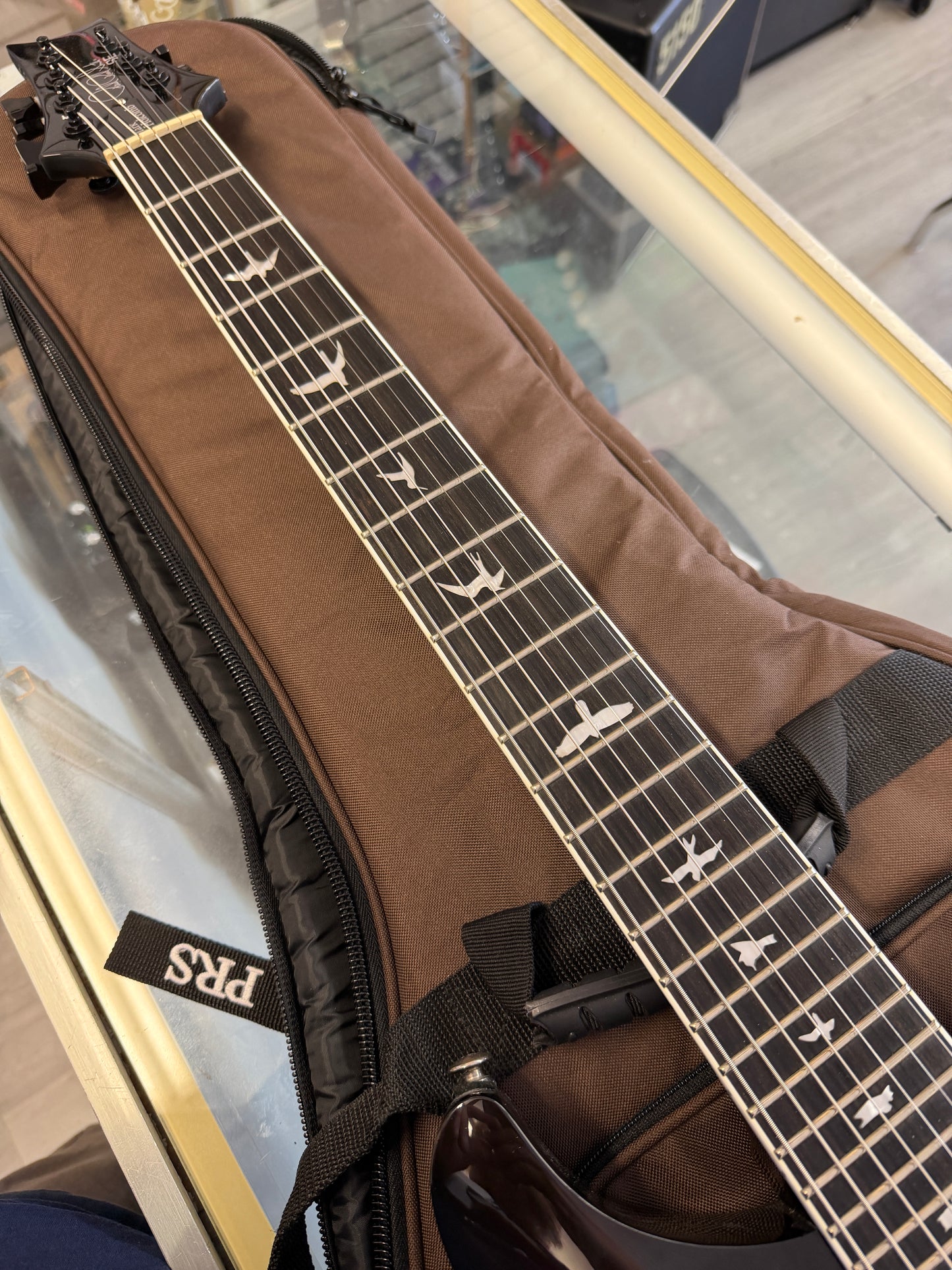 2019 PRS SE Mark Holcomb SVN