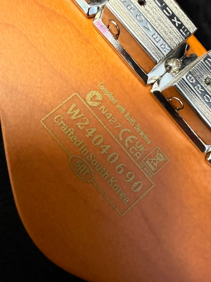 2024 Schecter PT Special