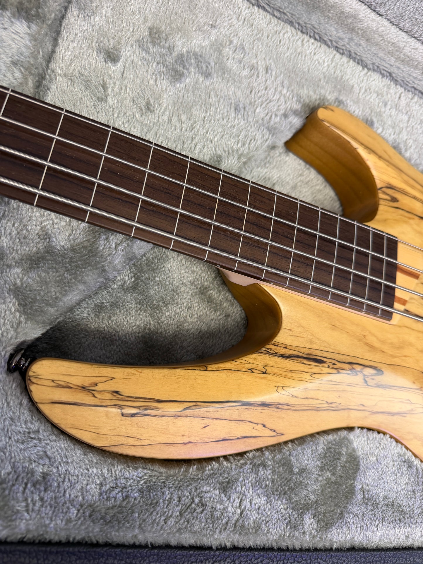 2019 LTD B-204 FL Fretless Bass