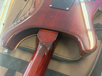 2015 PRS SE Custom 24